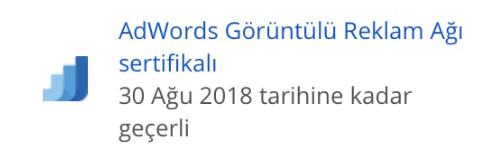 google-awords-goruntulu-reklam-agi-sertifikasi-manas-medya