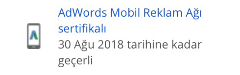 google-awords-mobil-reklam-agi-sertifikasi-manas-medya